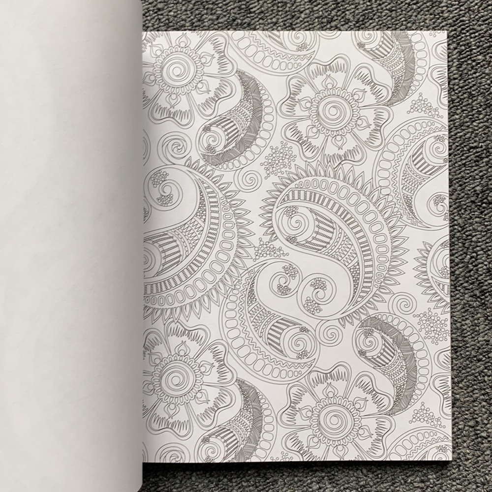 Stress Less Adult Coloring Book - Paisley Patterns - Brand New - Picture 4 of 9